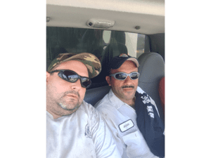 tree removal contractors