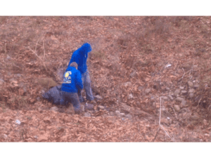 contractor grinding a tree stump