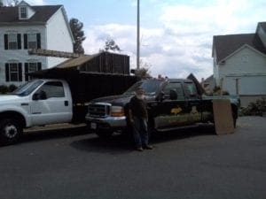 tree removal contractors