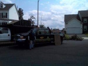 tree removal contractors