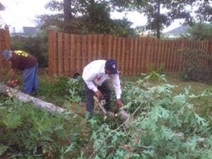 tree removal
