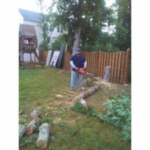tree removal