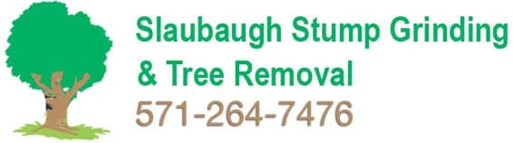 Slaubaugh Stump Grinding & Tree Removal